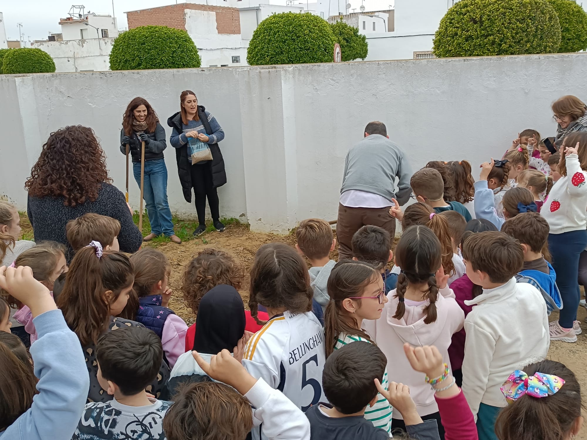Proyecto de centro en 2º de primaria: el PAN