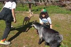 IMG-20250331-WA0091