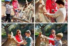 IMG-20250406-WA0028