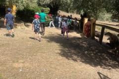 IMG-20250516-WA0033