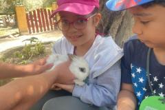 IMG-20250516-WA0036