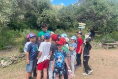 IMG-20250516-WA0055