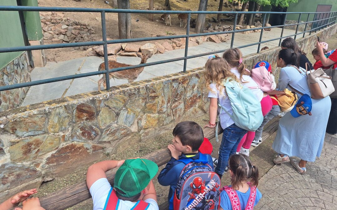 Visita al zoo