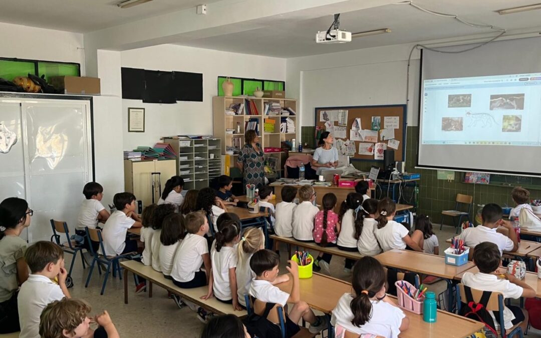 Charla gatuna