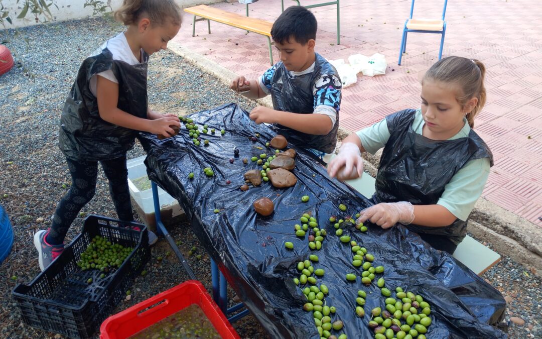 ¡Actividades culinarias!
