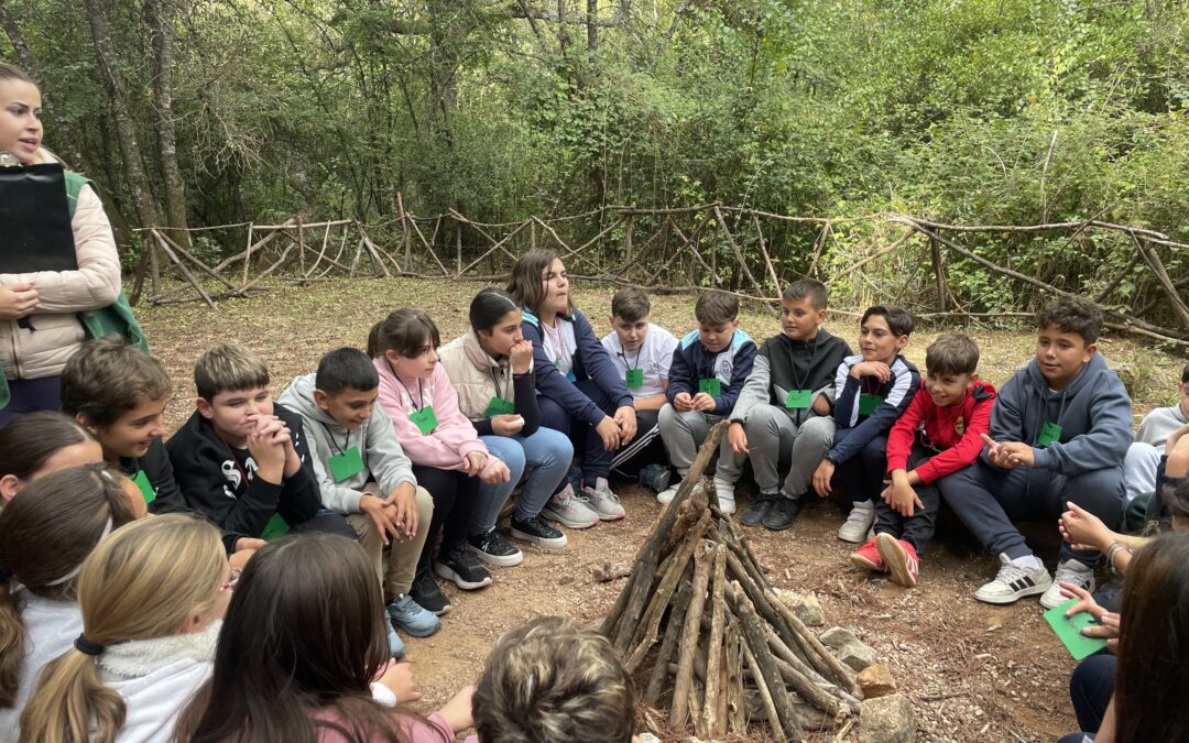 Nos vamos de excursión