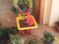 IMG-20190510-WA0003