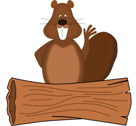 Concurso Bebras
