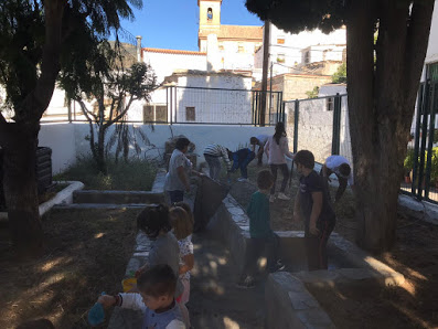 HUERTO ESCOLAR OHANES A Y B!!