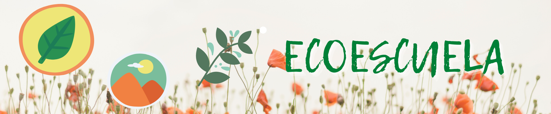 imagen ecoescuela