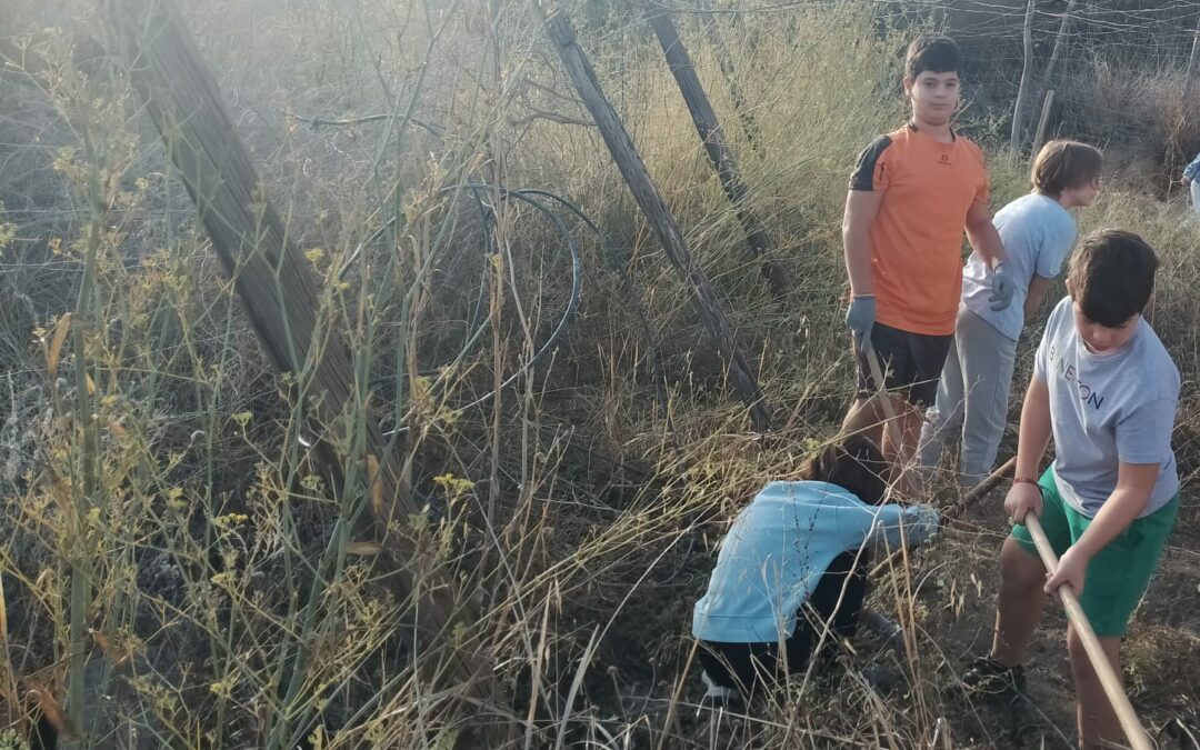 Nuestro huerto