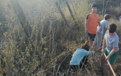 Nuestro huerto