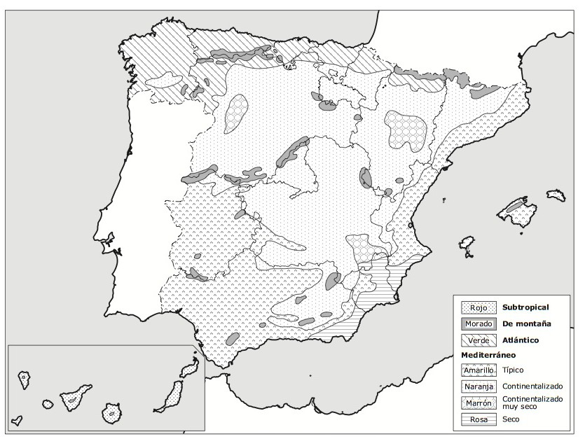 espancc83a-e1446743564189
