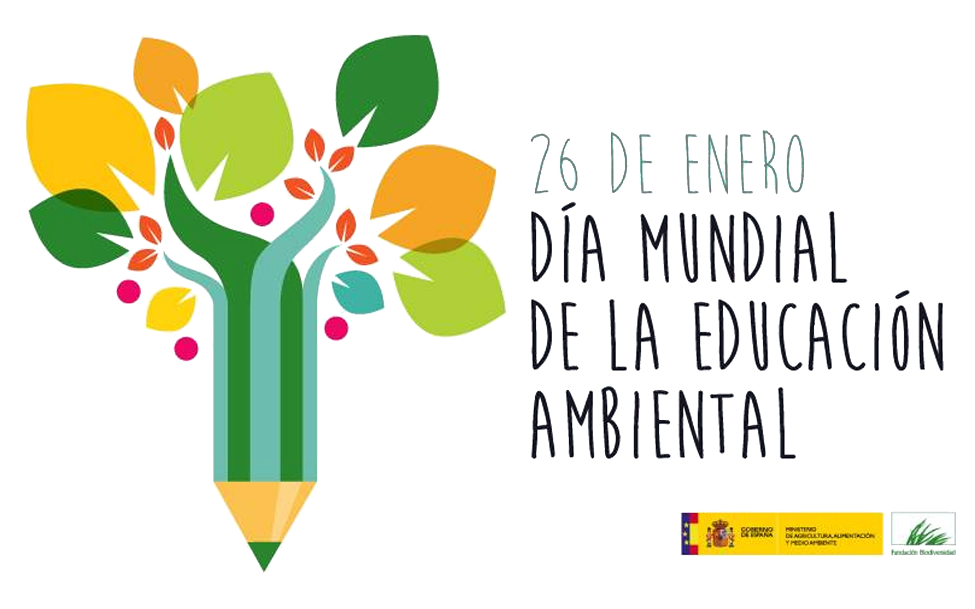 26 De Enero DÍa De La EducaciÓn Ambiental