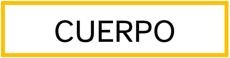 Cuerpo