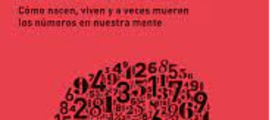 MATEMATICO