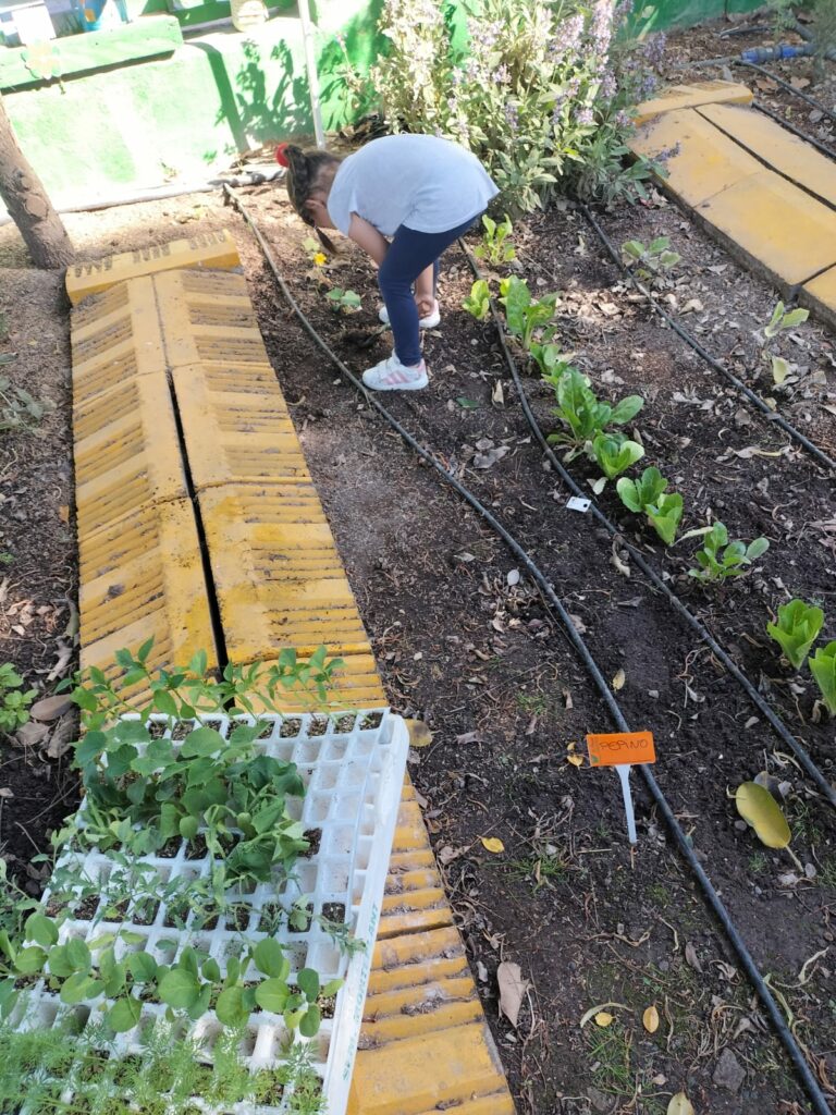Monteplant-6
