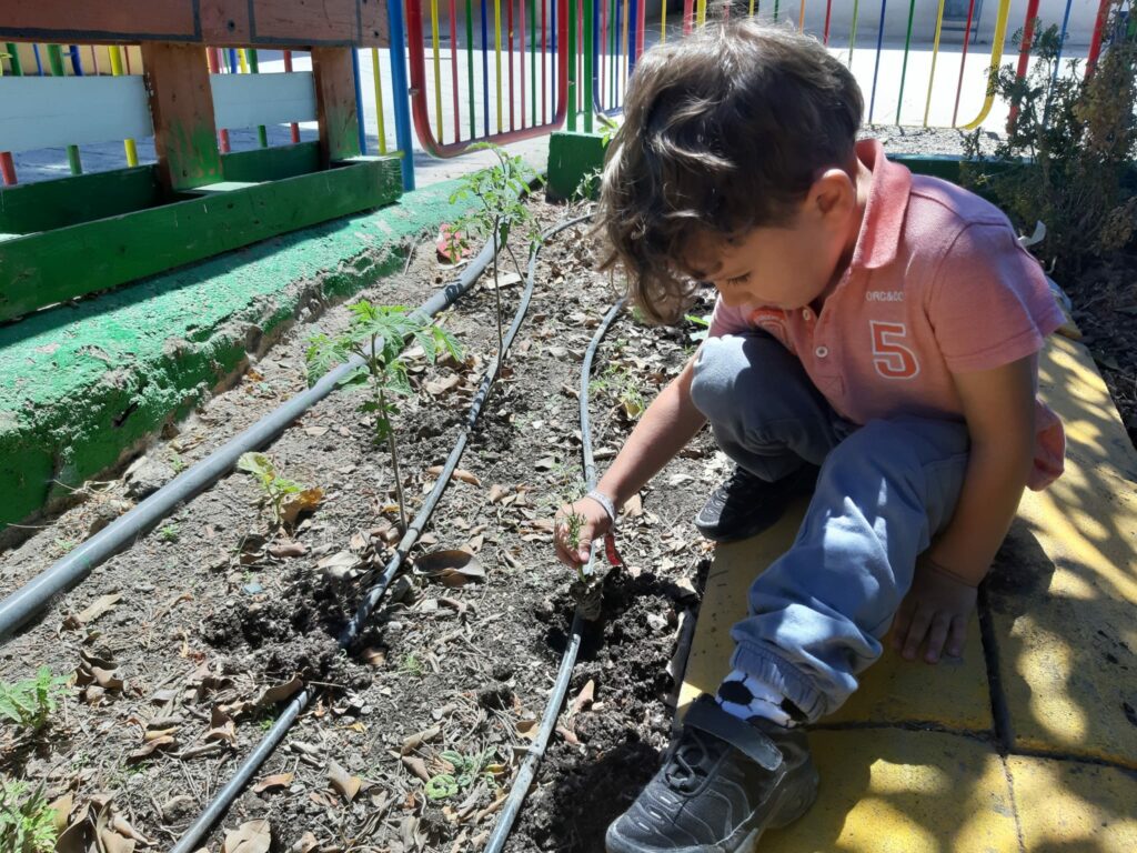 Monteplant14