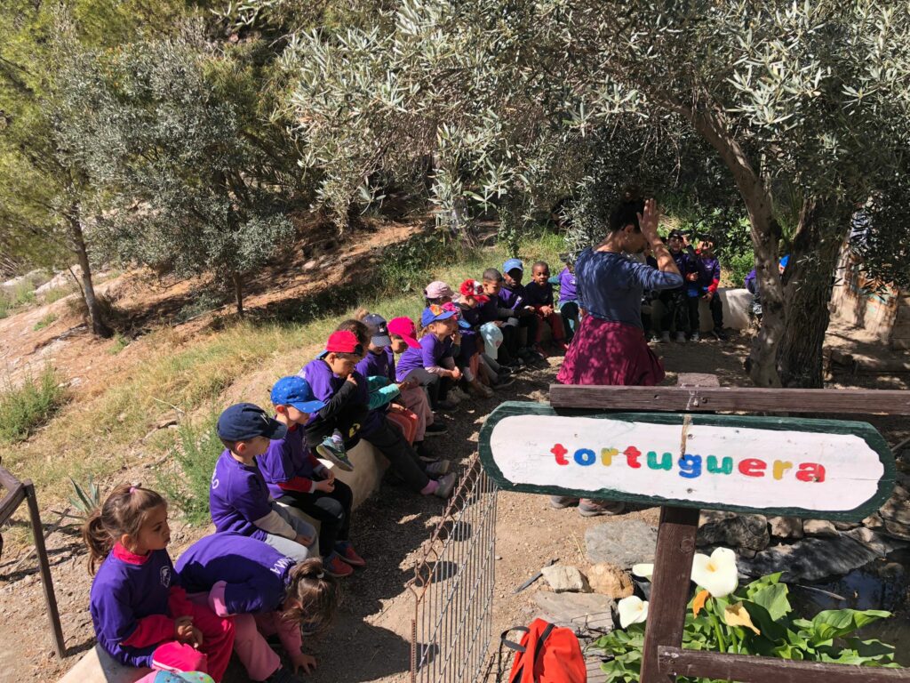 Puntalillo41