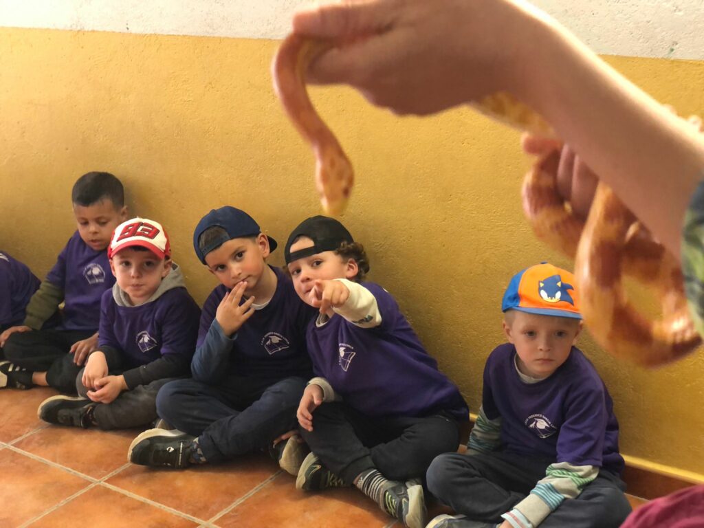 Puntalillo56