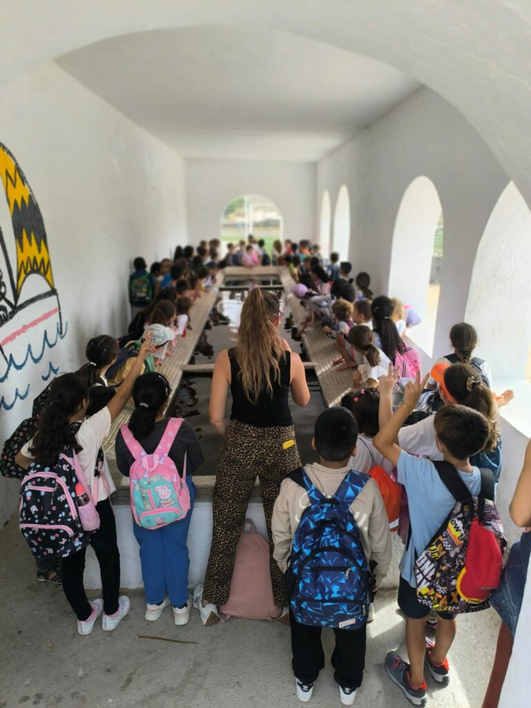 PHOTO-2024-10-15-18-53-27 2