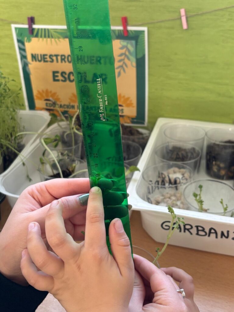 Huerto de aula3