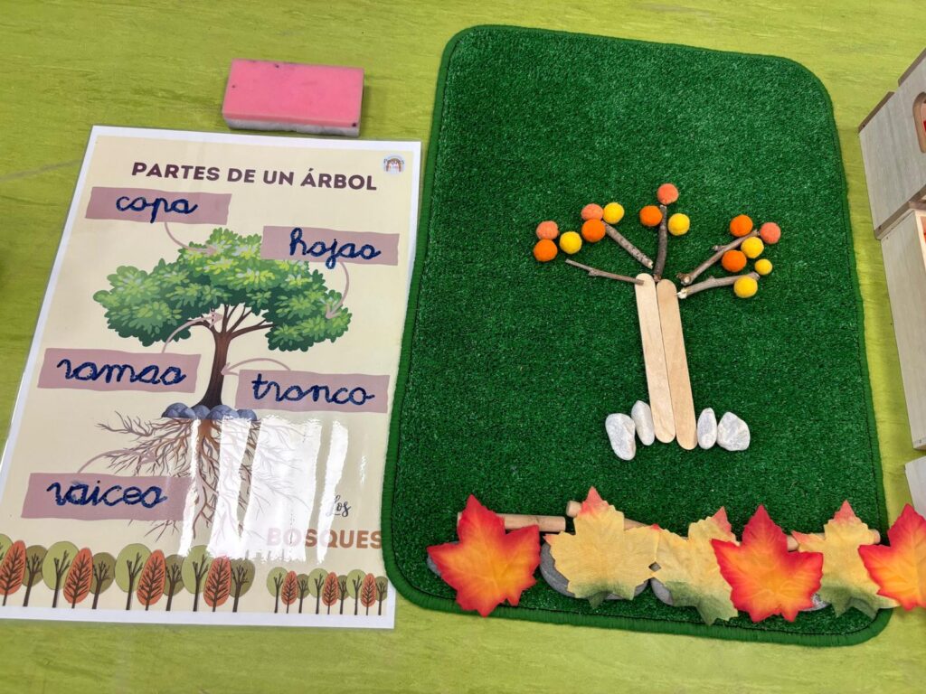 Partes árbol1