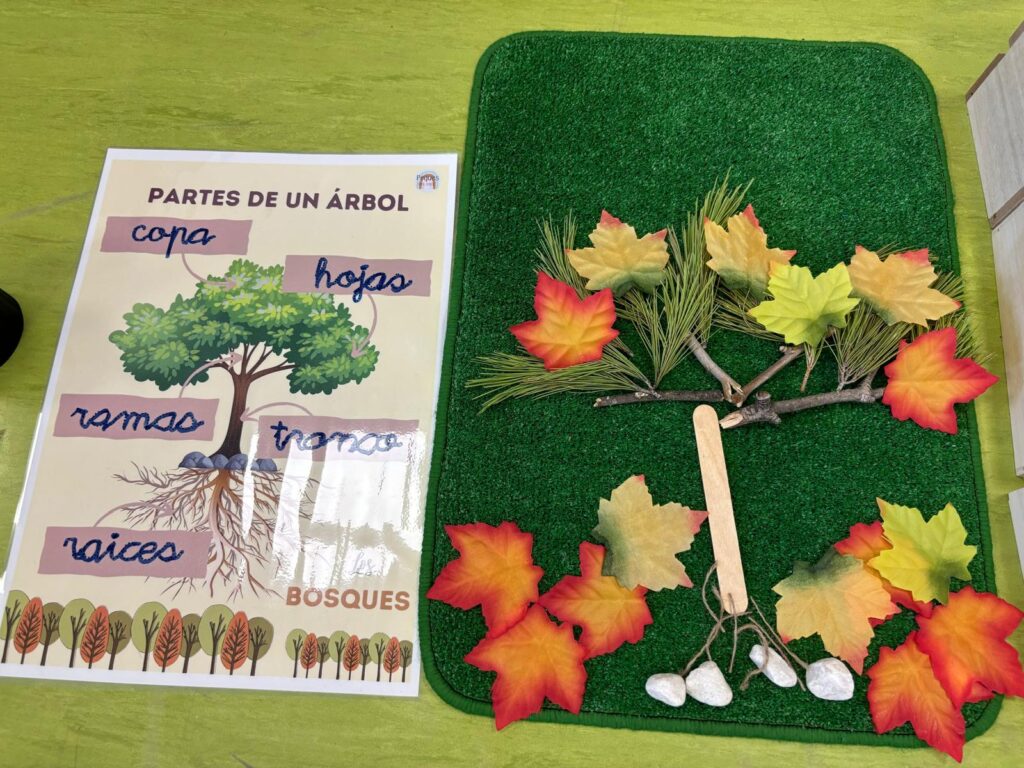 Partes árbol2