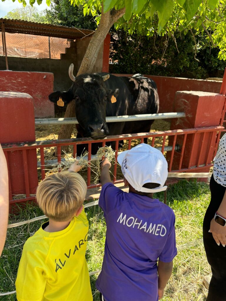Granja14