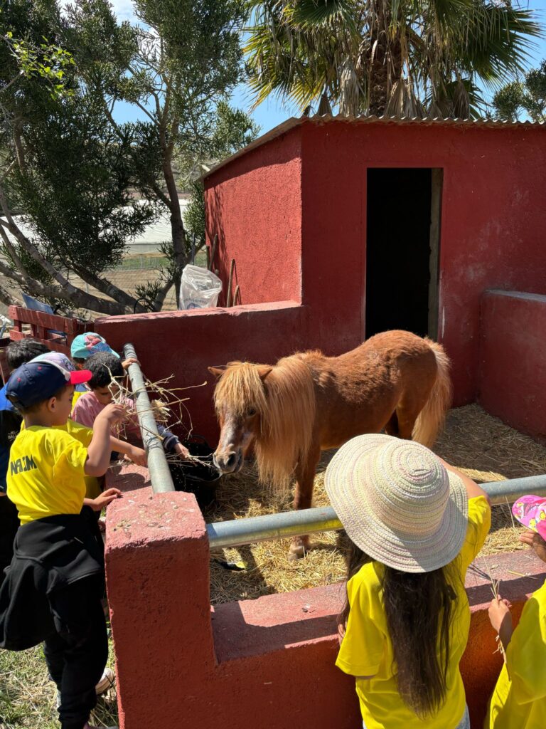 Granja15