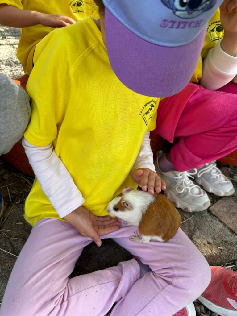 Granja17
