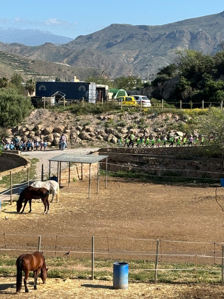Granja4