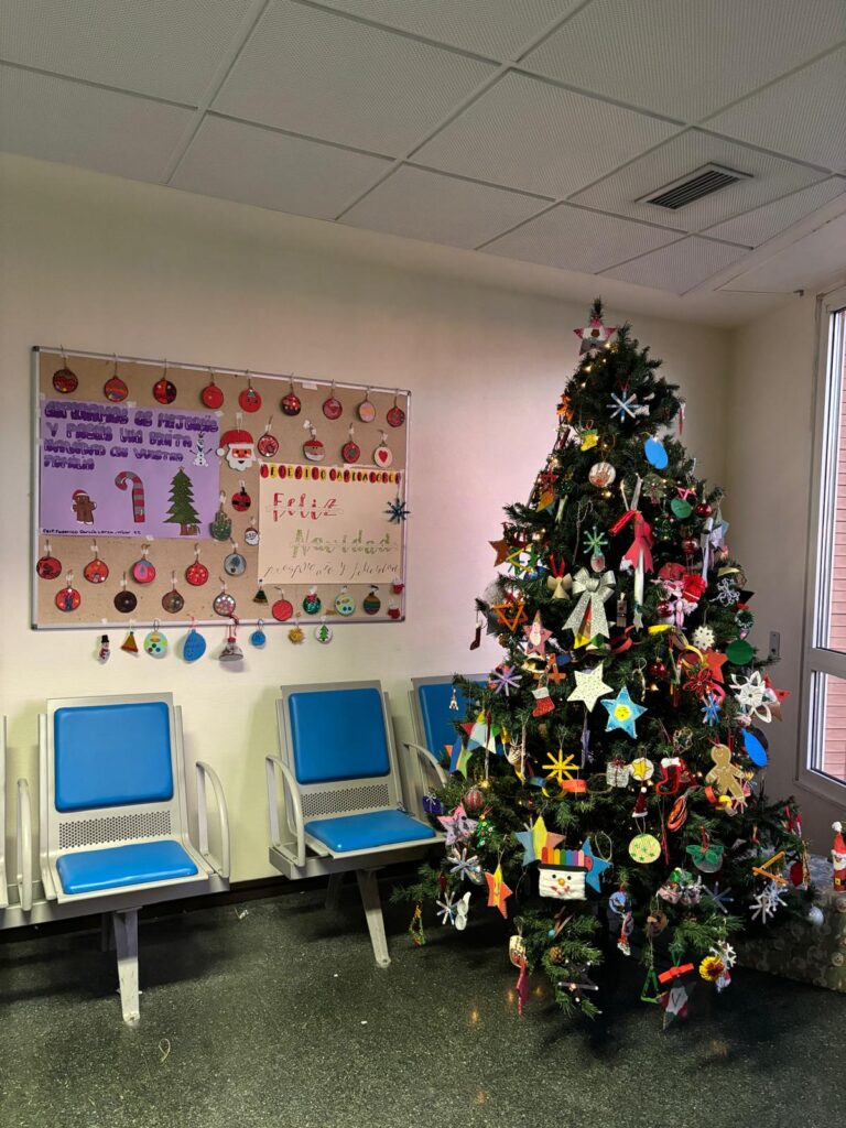 Áboles Navidad8