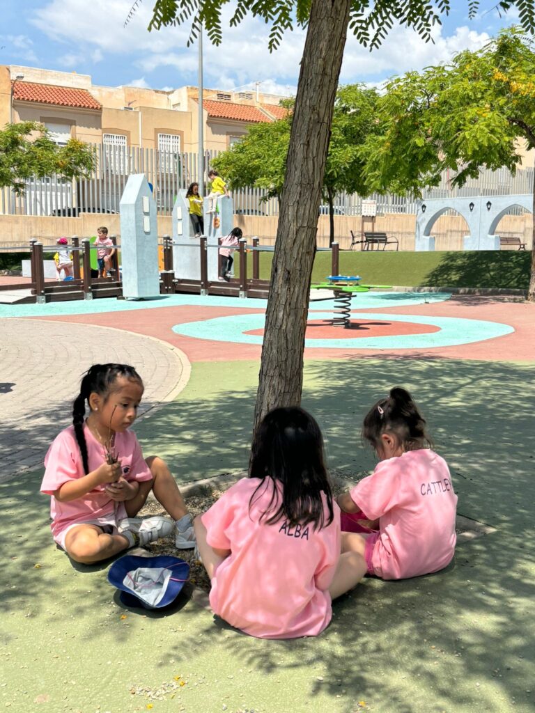 Parque8