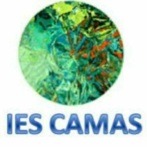 Gambito de Camas
