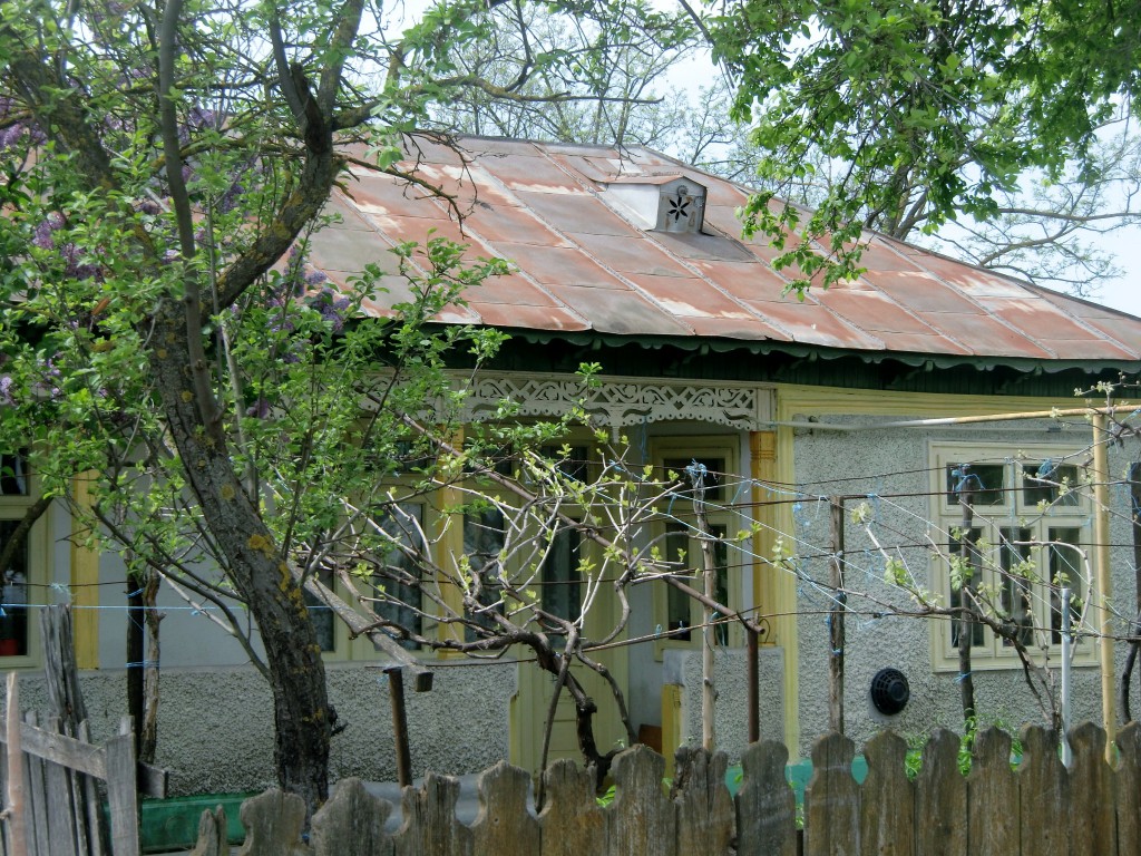 CIMG4559