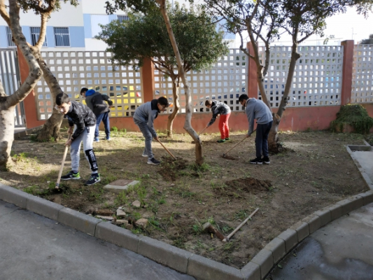 ECOHUERTO