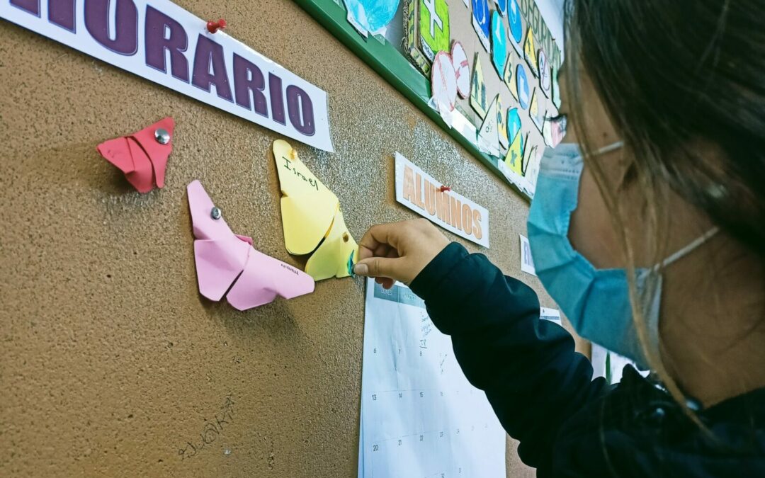 El efecto mariposa y el cambio climático