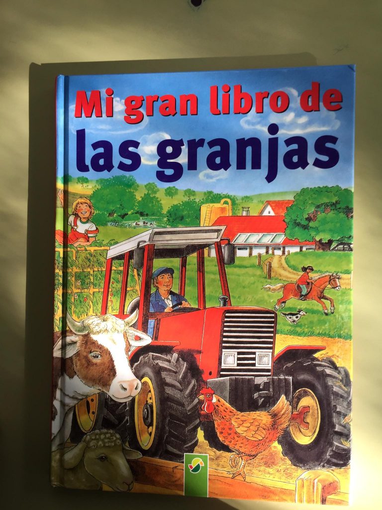 WhatsApp Image 2019-11-12 at 15.51.59 (3)