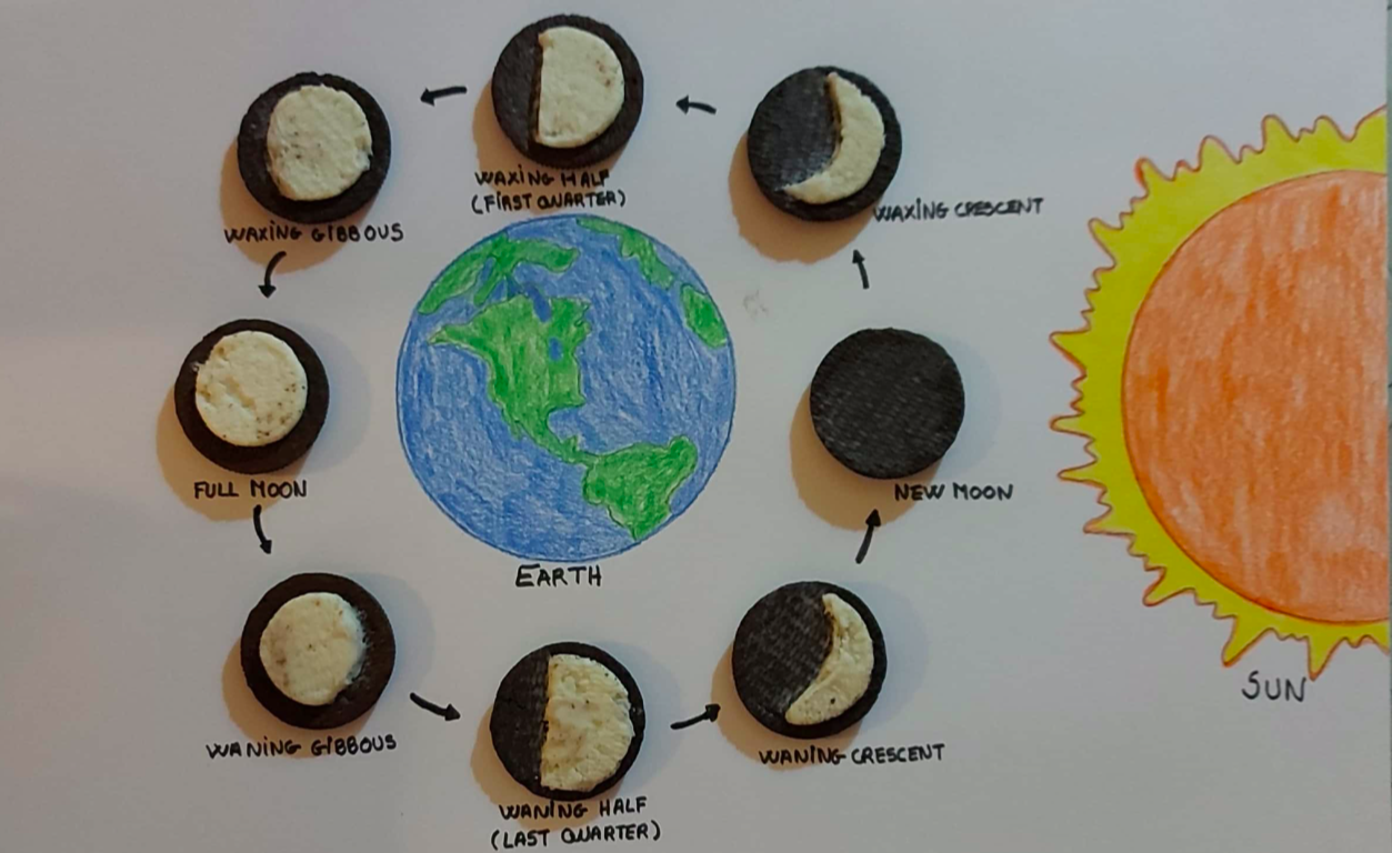 Oreo Cookies Moon Phases: Conociendo la Luna y sus fases de forma divertida  | IES El Sauce