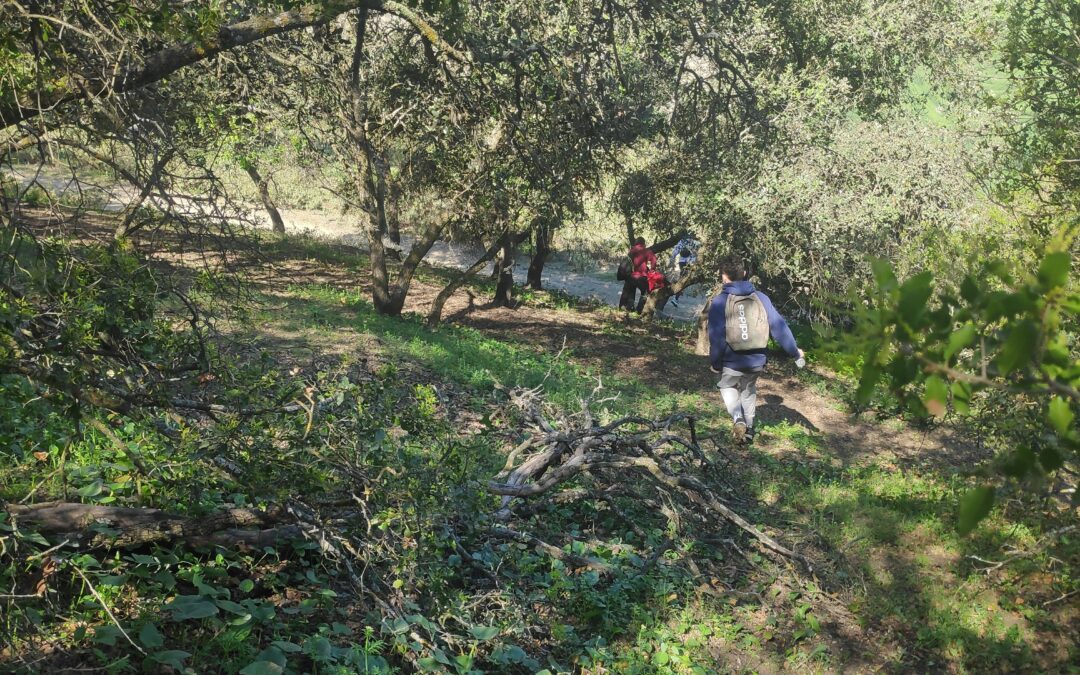 Senderismo: conoce los caminos de tu pueblo