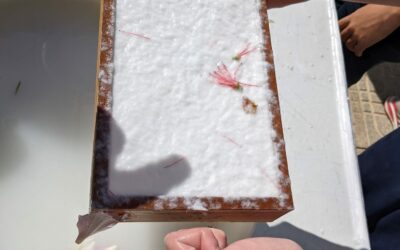 Taller de elaboración de papel