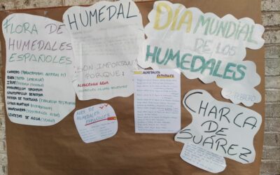 Día Mundial de los Humedales