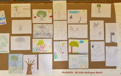 ¿Cuál es tu árbol?