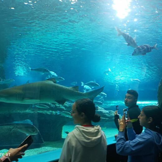 Visita al Aquarium Costa de Almería IES Mar Azul