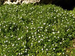 images (3)