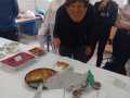 Concurso_Cocina_Francesa_2024_05