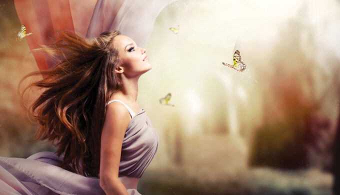 Butterfly Light Butterfly Light
