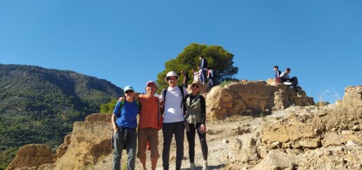 IMG_20231123_113215