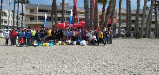 IMG_20240425_130130
